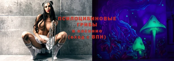 дживик Осинники