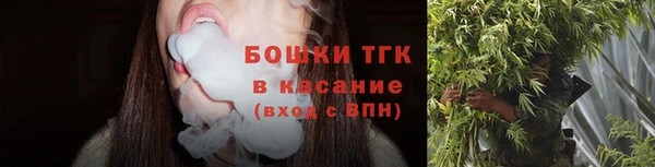 дживик Осинники