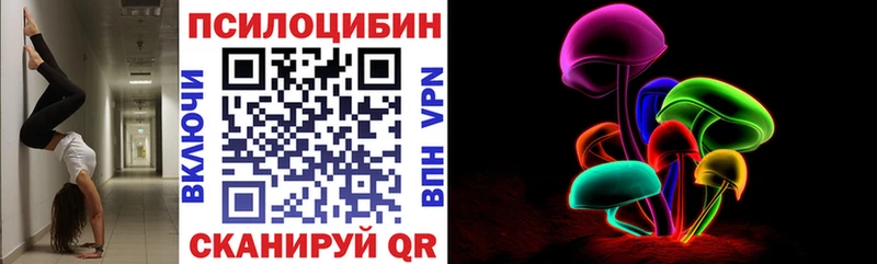 Купить  Ейск  Псилоцибиновые грибы Psilocybe 